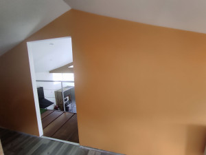 Photo de galerie - Plâtrerie - Murs - Plafonds