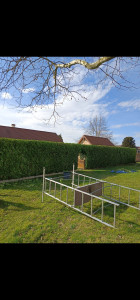 Photo de galerie - Taille de haies