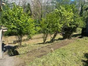 Photo de galerie - Tonte de pelouse - Débroussaillage