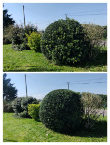Photo de galerie - Taille de remise en forme 