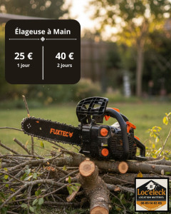 Photo de galerie - Elagage et coupe d'arbres