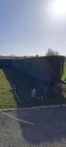 Photo de galerie - Taille de haie de 90m en tout 