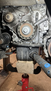 Photo de galerie - Distribution