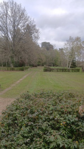 Photo de galerie - Tonte