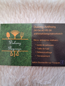 Photo de galerie -  je propose tonte de pelouse, taille de haie, terrassement, réseaux divers, plantation.