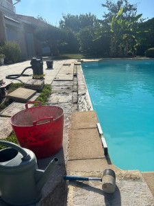 Photo de galerie - Dépose/Repose de margelles 