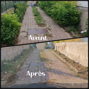 Photo de galerie - Débroussaillage et taillage au taille haie d'une allée.