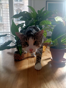 Photo de galerie - Marcel, un petit coeur 
