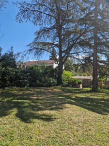 Photo de galerie - Elagage et coupe d'arbres