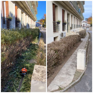 Photo de galerie - Taille de haies et d'arbustes