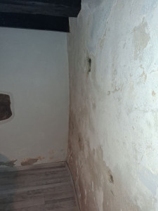 Photo de galerie - Peinture - Tapisserie