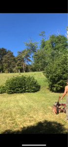 Photo de galerie - .