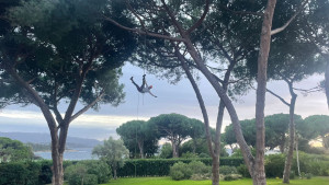 Photo de galerie - Elagage et coupe d'arbres