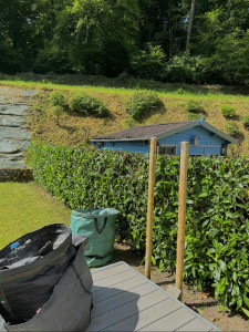 Photo de galerie - Jardin fais par nos soins 