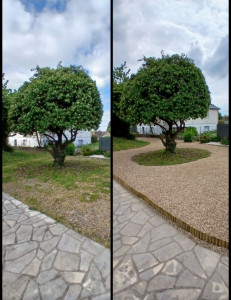 Photo de galerie - Paysagiste - Aménagement du jardin