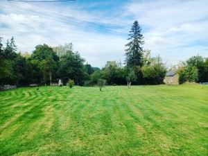 Photo de galerie - La tonte et le debroussaillage n'ont plus de secret pour moi !