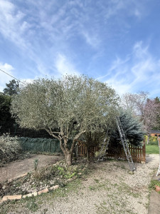 Photo de galerie - Jardinier