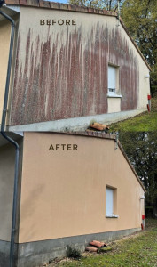 Photo de galerie - Nettoyage façade avant après produit professionnel 