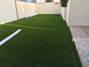 Photo de galerie - Tapis de gazon