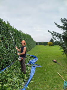Photo de galerie - Taille de haie 