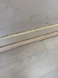 Photo de galerie - Ménage