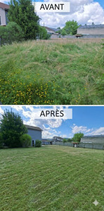 Photo de galerie - Remise en état d'une pelouse dense de 1000m².
