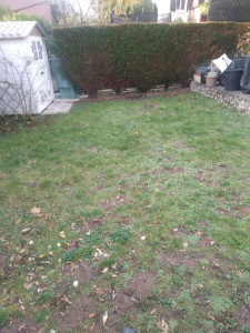 Photo de galerie - Paysagiste - Aménagement du jardin