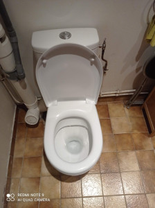 Photo de galerie - Dépannage pour déboucher changer de toilette