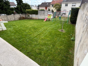 Photo de galerie - Entretien du gazon tonte de pelouse 