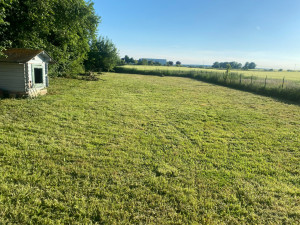 Photo de galerie - Tonte débroussaillage 