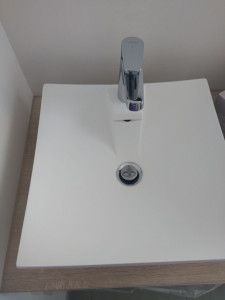 Photo de galerie - Détartrage et nettoyage du siphon de lavabo 
