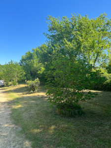 Photo de galerie - Après débroussaillage 