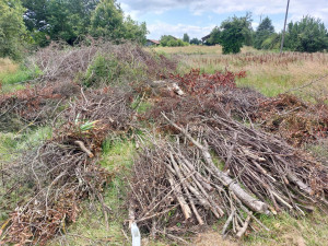 Photo de galerie - Sortir un peu de branches sans rien lâcher
 