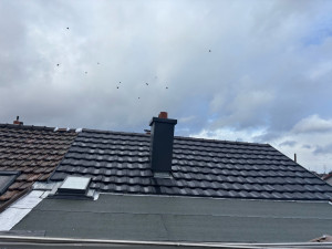 Photo de galerie - Couverture - Toiture