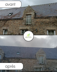 Photo de galerie - Nettoyage d'un toit a locoal-mendon