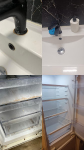 Photo de galerie - Nettoyage du lavabo de la salle de bain et nettoyage du réfrigérateur