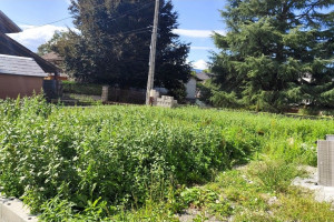 Photo de galerie - Tonte de pelouse - Débroussaillage