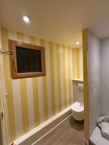 Photo de galerie - Réalisation d’un toilette en peinture +bandes fait à main lever