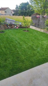 Photo de galerie - Tonte de pelouse - Débroussaillage