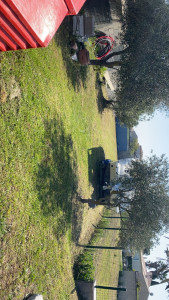 Photo de galerie - Débroussaillage 