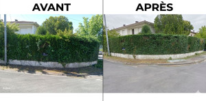 Photo de galerie - Taille de haie 