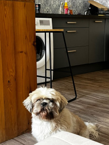 Photo de galerie - La petite Nora