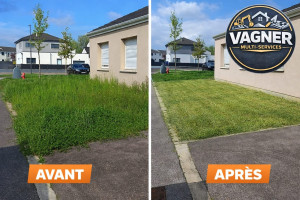 Photo de galerie - Tonte                  