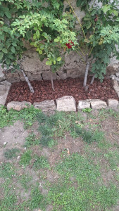 Photo de galerie - Jardinier