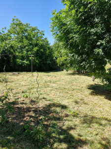 Photo de galerie - Tonte de pelouse - Débroussaillage