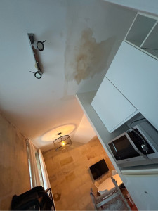 Photo de galerie - Peinture - Tapisserie