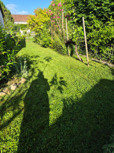 Photo de galerie - Tonte de pelouse - Débroussaillage