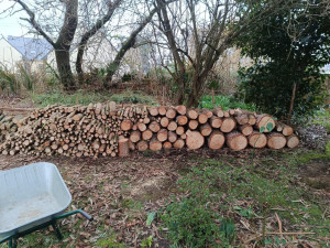 Photo de galerie - Intervention suite à un fort coup de vent