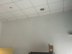 Photo de galerie - Peinture - Tapisserie