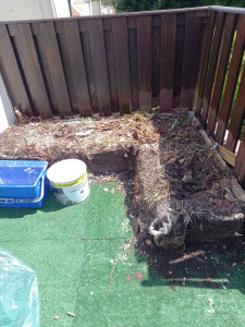 Photo de galerie - Paysagiste - Aménagement du jardin